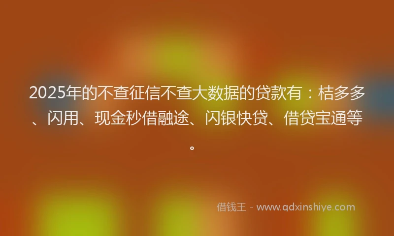2025年的不查征信不查大数据的贷款有:桔多多、闪用、现金秒借融途、闪银快贷、借贷宝通等。