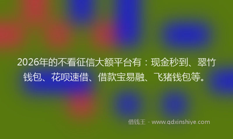 2026年的不看征信大额平台有：现金秒到、翠竹钱包、花呗速借、借款宝易融、飞猪钱包等。