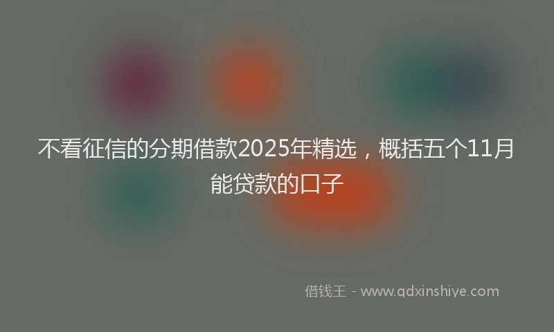 不看征信的分期借款2025年精选，概括五个11月能贷款的口子