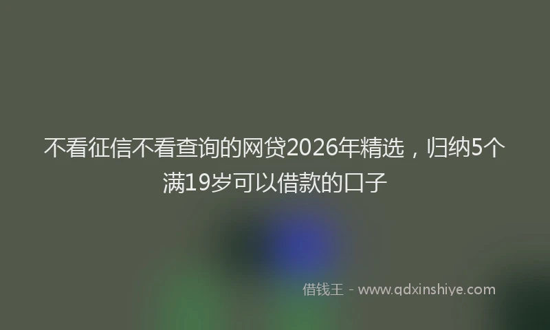 不看征信不看查询的网贷2026年精选，归纳5个满19岁可以借款的口子