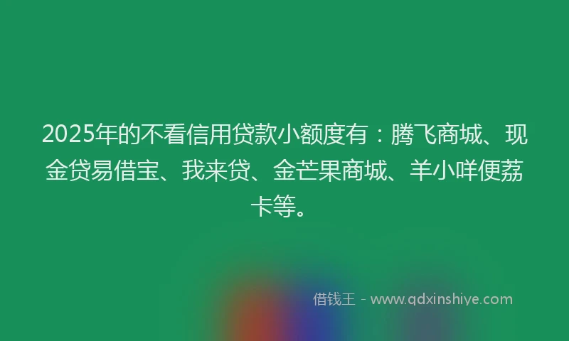 2025年的不看信用贷款小额度有:腾飞商城、现金贷易借宝、我来贷、金芒果商城、羊小咩便荔卡等。