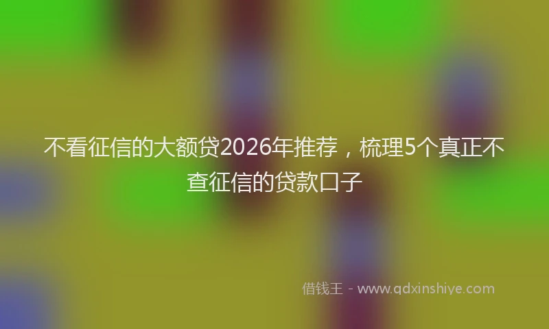 不看征信的大额贷2026年推荐,梳理5个真正不查征信的贷款口子