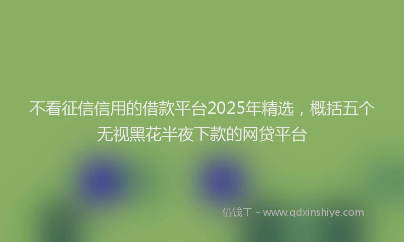 不看征信信用的借款平台2025年精选，概括五个无视黑花半夜下款的网贷平台