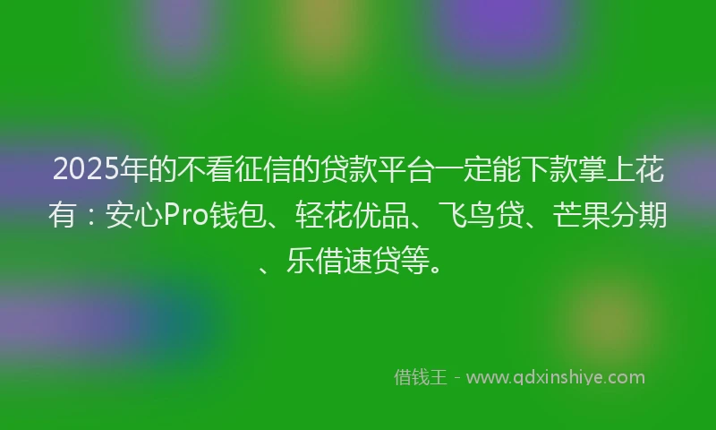2025年的不看征信的贷款平台一定能下款掌上花有：安心Pro钱包、轻花优品、飞鸟贷、芒果分期、乐借速贷等。