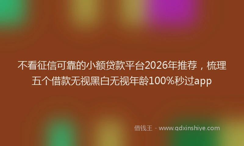 不看征信可靠的小额贷款平台2026年推荐，梳理五个借款无视黑白无视年龄100%秒过app
