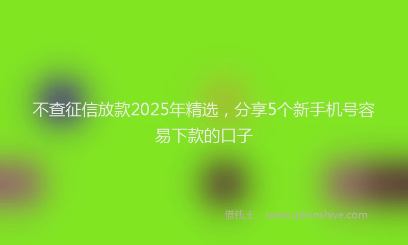 不查征信放款2025年精选，分享5个新手机号容易下款的口子
