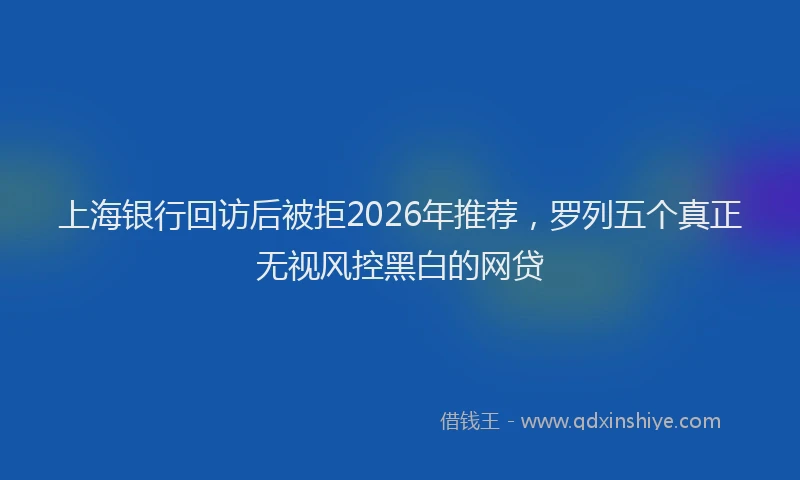 上海银行回访后被拒2026年推荐，罗列五个真正无视风控黑白的网贷