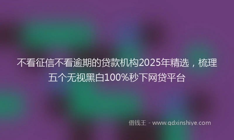不看征信不看逾期的贷款机构2025年精选,梳理五个无视黑白100%秒下网贷平台