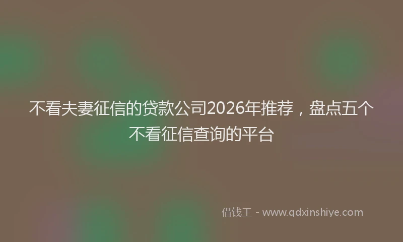 不看夫妻征信的贷款公司2026年推荐,盘点五个不看征信查询的平台