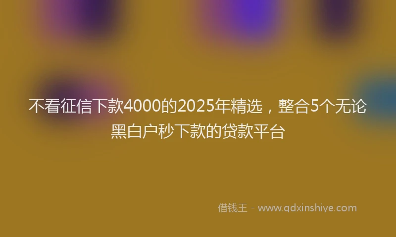 不看征信下款4000的2025年精选，整合5个无论黑白户秒下款的贷款平台