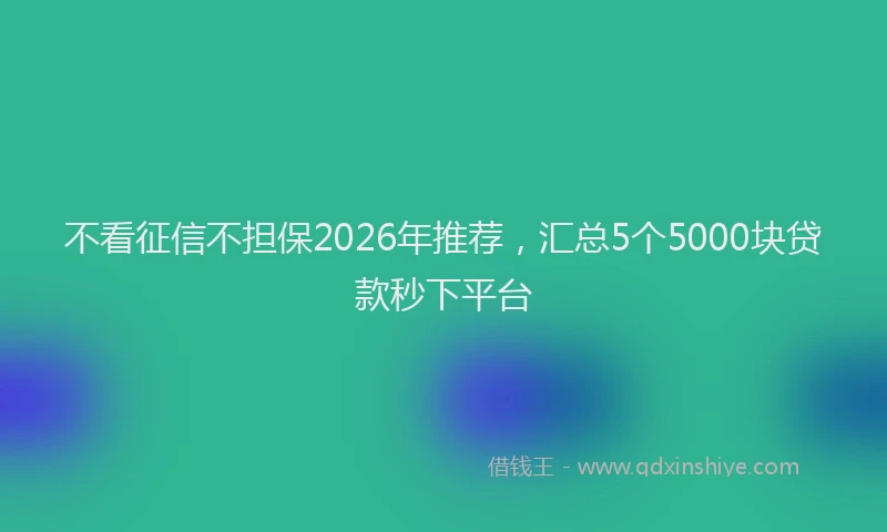 不看征信不担保2026年推荐，汇总5个5000块贷款秒下平台