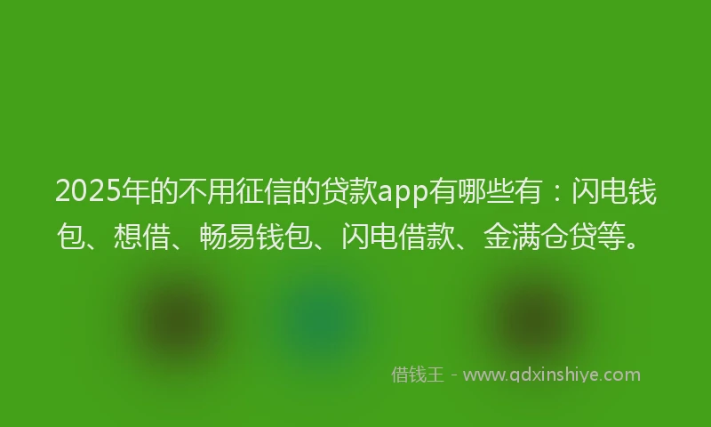 2025年的不用征信的贷款app有哪些有：闪电钱包、想借、畅易钱包、闪电借款、金满仓贷等。