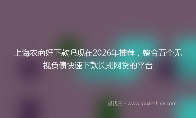 上海农商好下款吗现在2026年推荐，整合五个无视负债快速下款长期网贷的平台