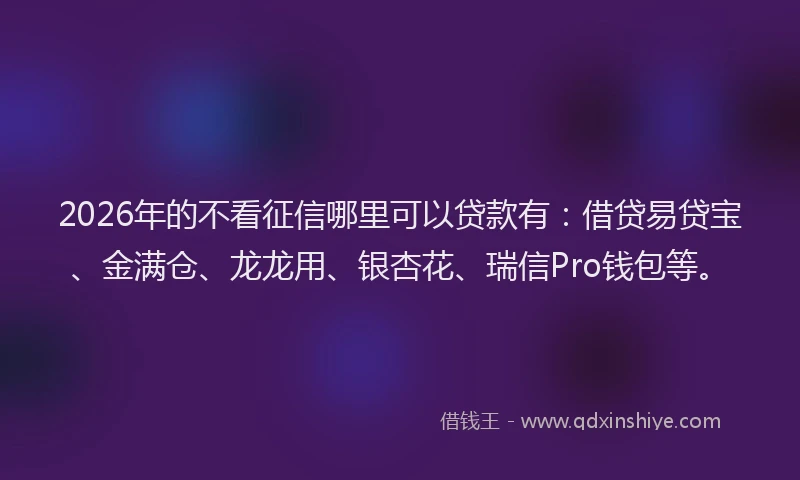 2026年的不看征信哪里可以贷款有：借贷易贷宝、金满仓、龙龙用、银杏花、瑞信Pro钱包等。