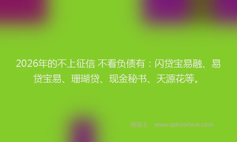 2026年的不上征信 不看负债有：闪贷宝易融、易贷宝易、珊瑚贷、现金秘书、天源花等。