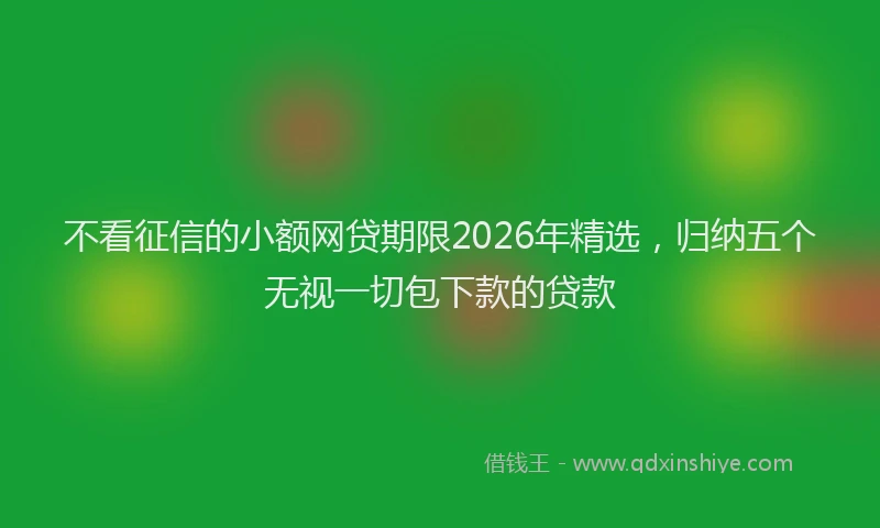 不看征信的小额网贷期限2026年精选,归纳五个无视一切包下款的贷款