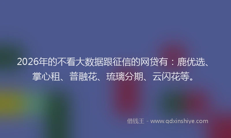 2026年的不看大数据跟征信的网贷有：鹿优选、掌心租、普融花、琉璃分期、云闪花等。