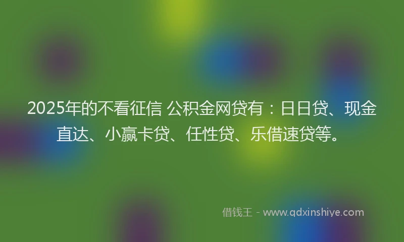 2025年的不看征信 公积金网贷有：日日贷、现金直达、小赢卡贷、任性贷、乐借速贷等。