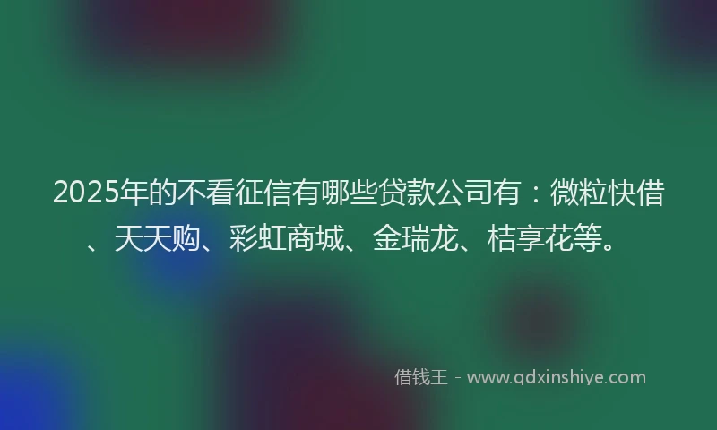 2025年的不看征信有哪些贷款公司有：微粒快借、天天购、彩虹商城、金瑞龙、桔享花等。