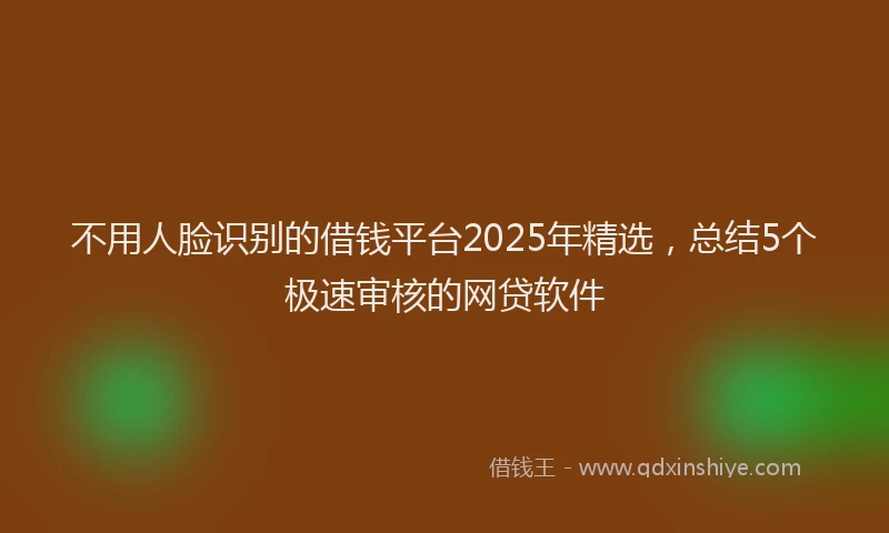 不用人脸识别的借钱平台2025年精选，总结5个极速审核的网贷软件
