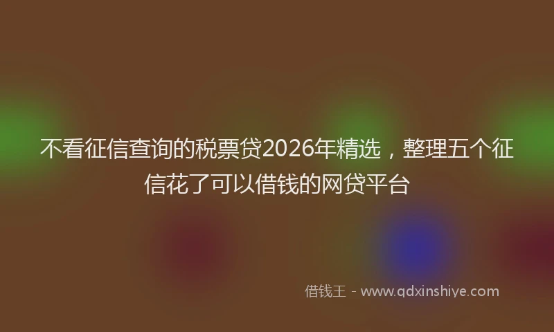 不看征信查询的税票贷2026年精选，整理五个征信花了可以借钱的网贷平台