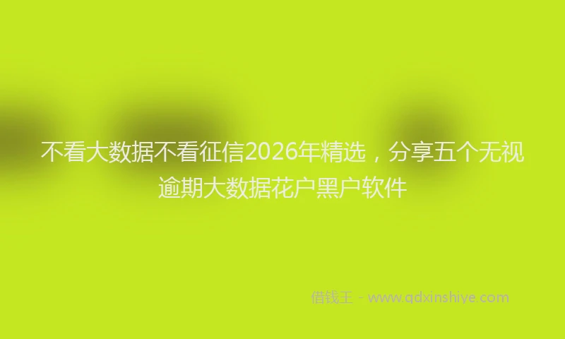 不看大数据不看征信2026年精选，分享五个无视逾期大数据花户黑户软件