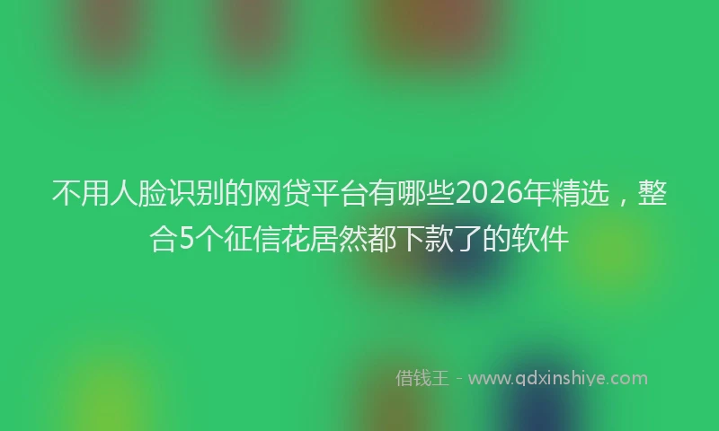不用人脸识别的网贷平台有哪些2026年精选，整合5个征信花居然都下款了的软件