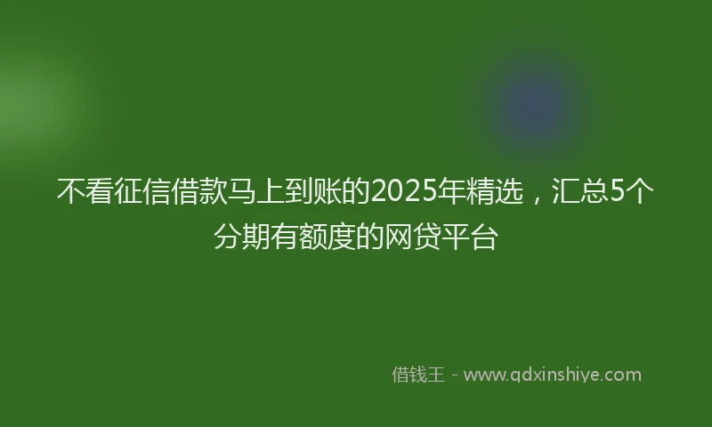 不看征信借款马上到账的2025年精选，汇总5个分期有额度的网贷平台