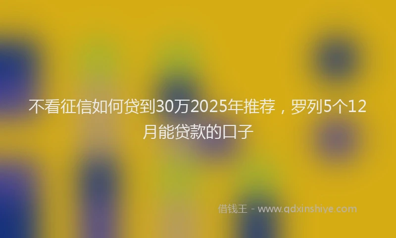 不看征信如何贷到30万2025年推荐,罗列5个12月能贷款的口子