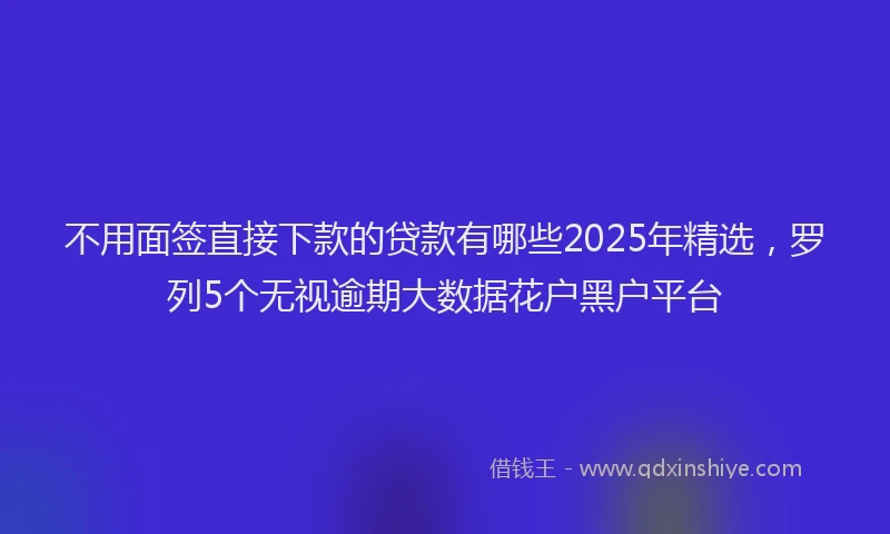 不用面签直接下款的贷款有哪些2025年精选，罗列5个无视逾期大数据花户黑户平台
