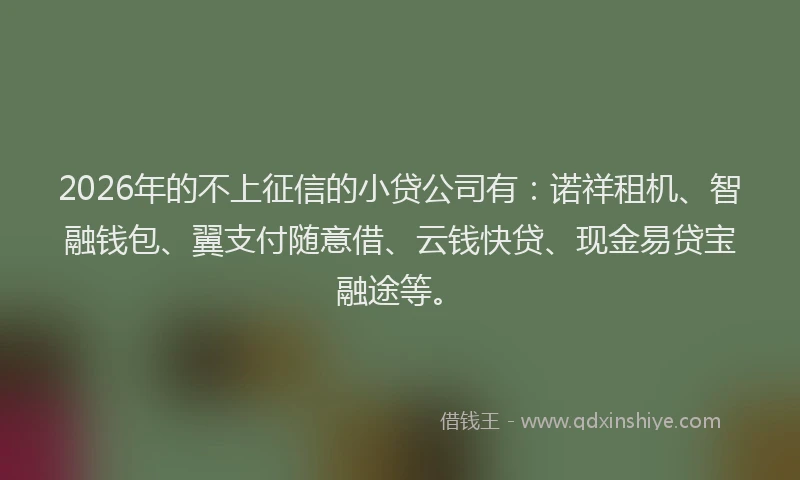 2026年的不上征信的小贷公司有：诺祥租机、智融钱包、翼支付随意借、云钱快贷、现金易贷宝融途等。