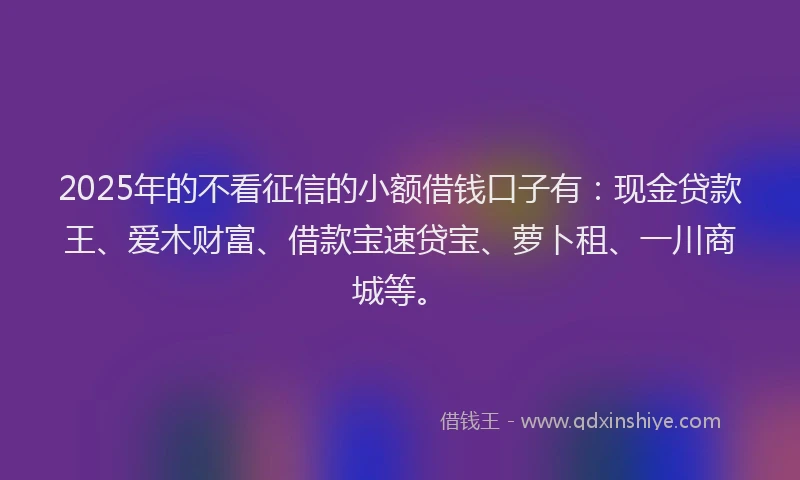 2025年的不看征信的小额借钱口子有：现金贷款王、爱木财富、借款宝速贷宝、萝卜租、一川商城等。