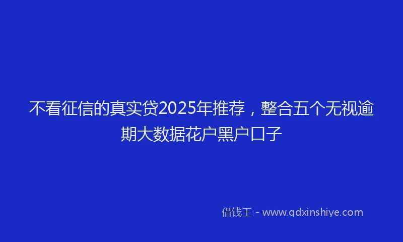不看征信的真实贷2025年推荐，整合五个无视逾期大数据花户黑户口子