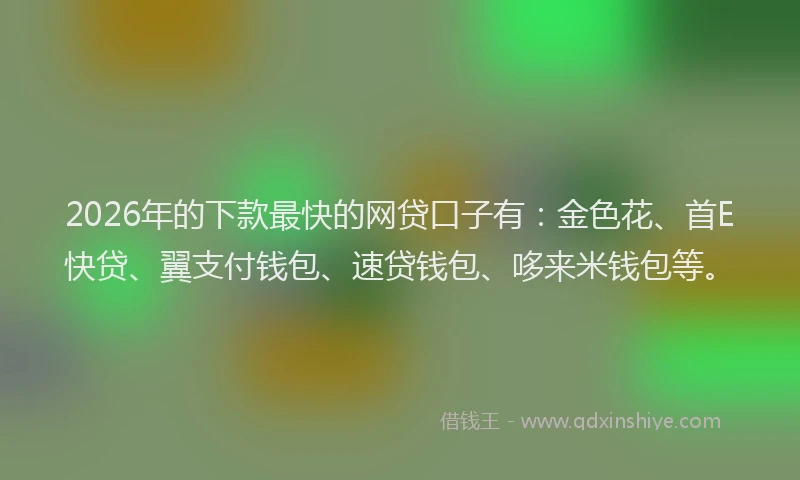 2026年的下款最快的网贷口子有：金色花、首E快贷、翼支付钱包、速贷钱包、哆来米钱包等。