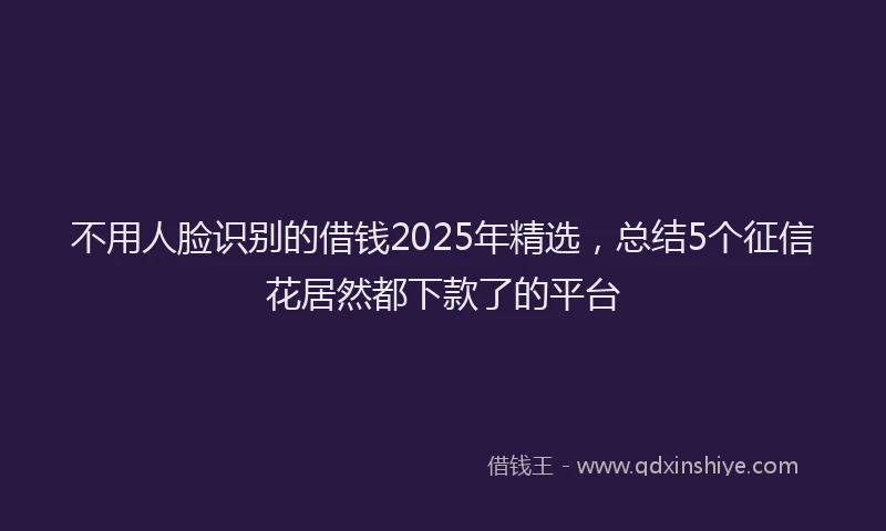 不用人脸识别的借钱2025年精选，总结5个征信花居然都下款了的平台