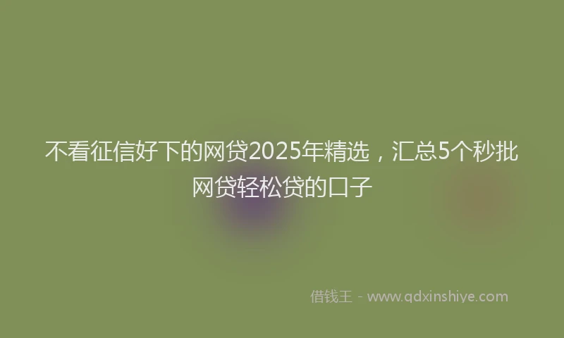 不看征信好下的网贷2025年精选，汇总5个秒批网贷轻松贷的口子