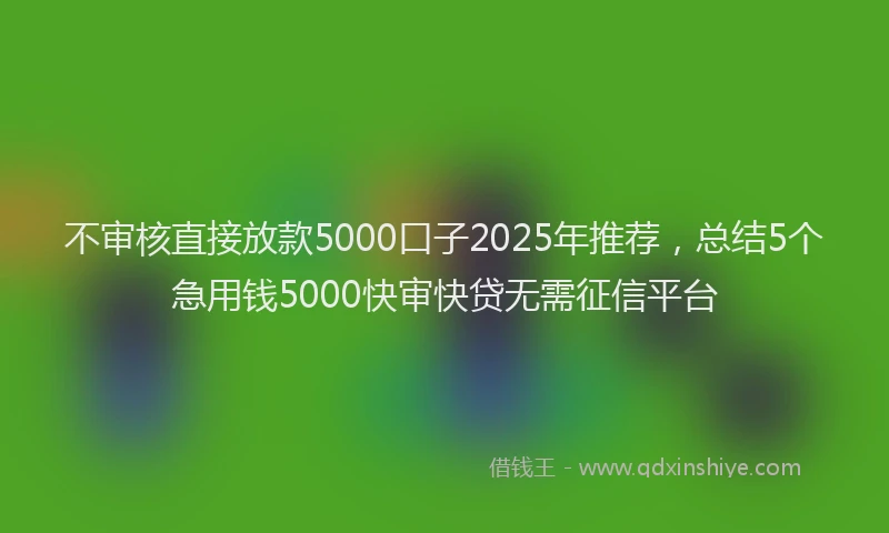 不审核直接放款5000口子2025年推荐，总结5个急用钱5000快审快贷无需征信平台