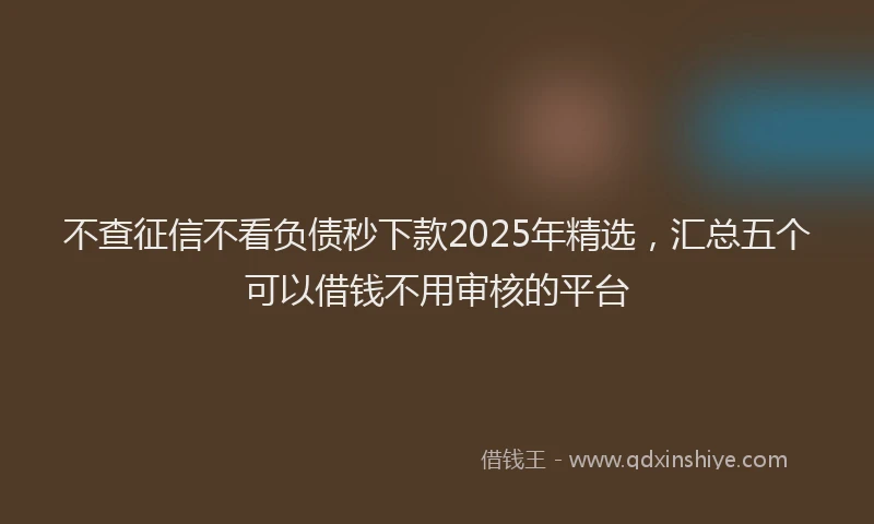 不查征信不看负债秒下款2025年精选，汇总五个可以借钱不用审核的平台