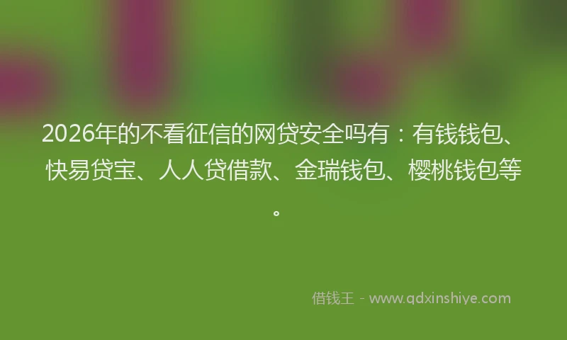 2026年的不看征信的网贷安全吗有:有钱钱包、快易贷宝、人人贷借款、金瑞钱包、樱桃钱包等。