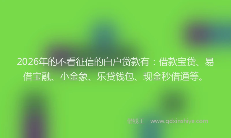 2026年的不看征信的白户贷款有:借款宝贷、易借宝融、小金象、乐贷钱包、现金秒借通等。