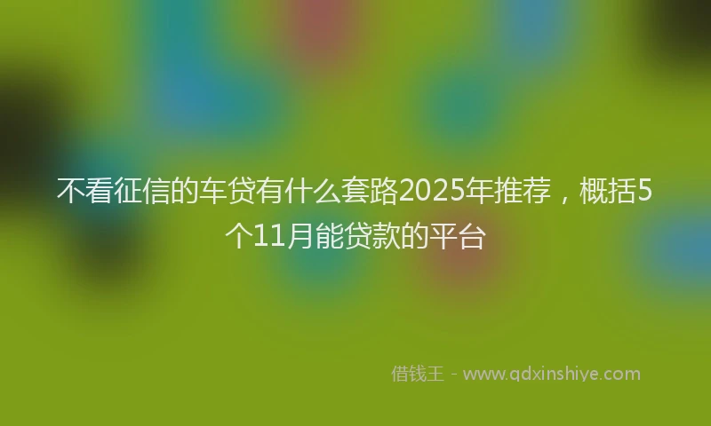 不看征信的车贷有什么套路2025年推荐,概括5个11月能贷款的平台