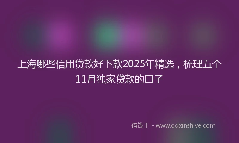 上海哪些信用贷款好下款2025年精选，梳理五个11月独家贷款的口子