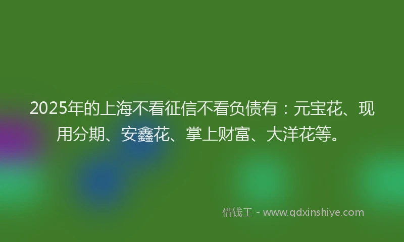 2025年的上海不看征信不看负债有:元宝花、现用分期、安鑫花、掌上财富、大洋花等。