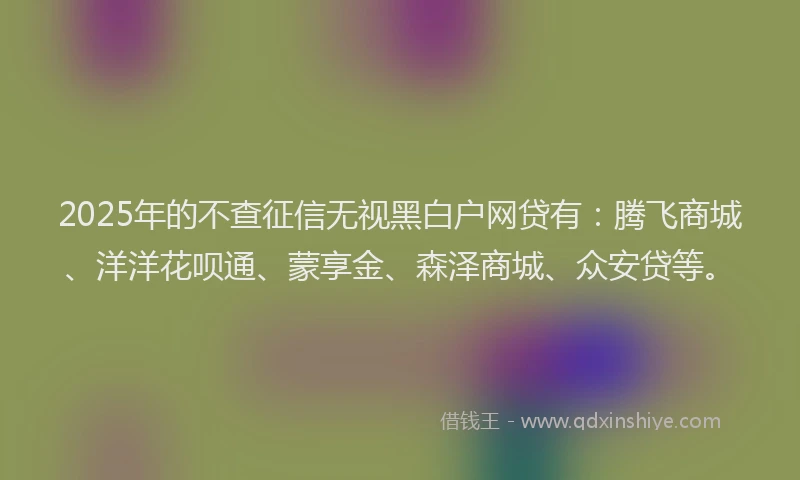 2025年的不查征信无视黑白户网贷有：腾飞商城、洋洋花呗通、蒙享金、森泽商城、众安贷等。