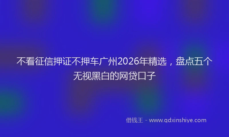 不看征信押证不押车广州2026年精选，盘点五个无视黑白的网贷口子