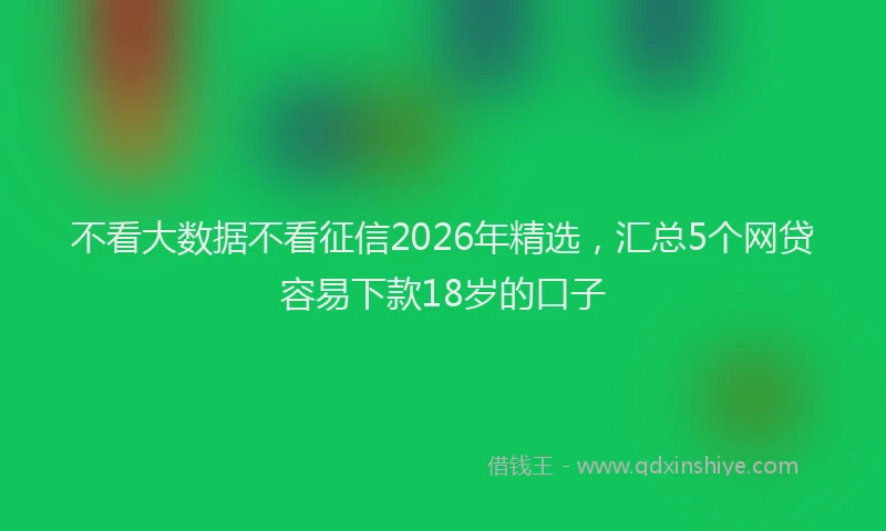 不看大数据不看征信2026年精选，汇总5个网贷容易下款18岁的口子