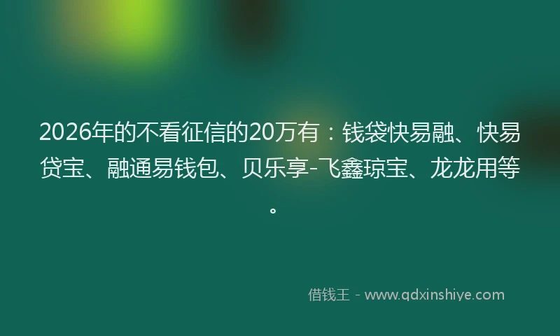 2026年的不看征信的20万有:钱袋快易融、快易贷宝、融通易钱包、贝乐享-飞鑫琼宝、龙龙用等。