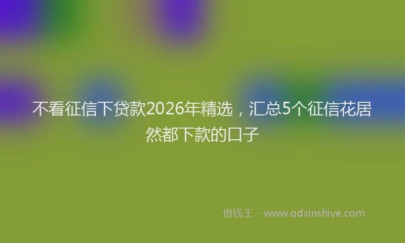 不看征信下贷款2026年精选,汇总5个征信花居然都下款的口子