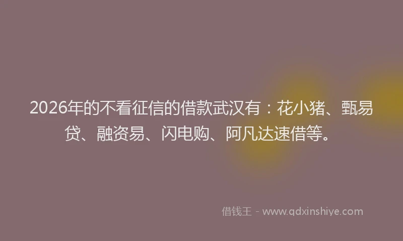 2026年的不看征信的借款武汉有:花小猪、甄易贷、融资易、闪电购、阿凡达速借等。
