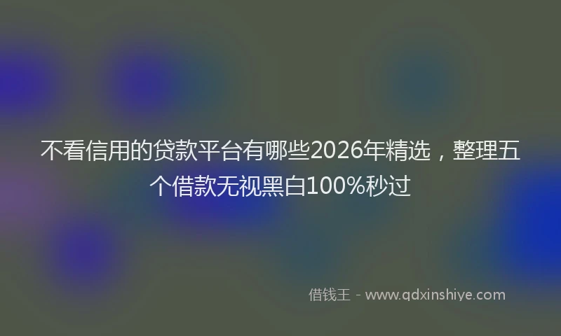 不看信用的贷款平台有哪些2026年精选,整理五个借款无视黑白100%秒过